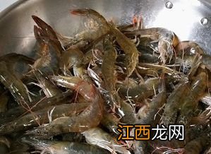 晒干的虾跟烤干的虾有什么区别