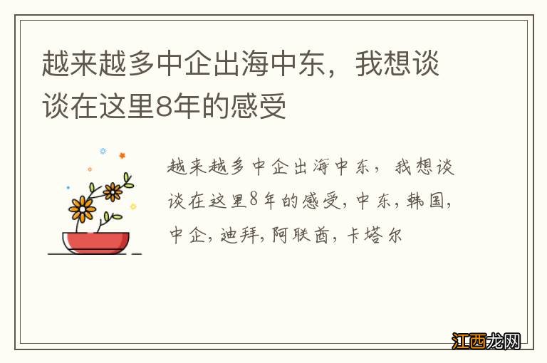 越来越多中企出海中东，我想谈谈在这里8年的感受