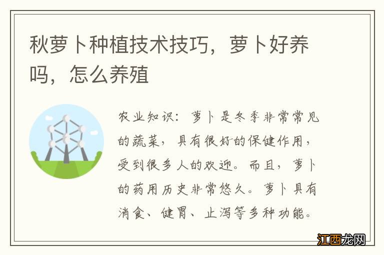 秋萝卜种植技术技巧，萝卜好养吗，怎么养殖