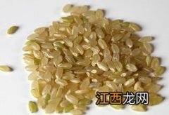 红豆糙米粥炖多久能熟