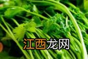 红参粉适合什么人服用 红参哪些人不能吃