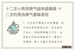 十二岁小男孩脾气越来越暴躁 十二岁的男孩脾气暴躁易怒