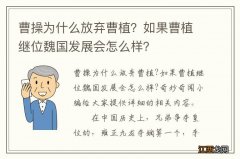 曹操为什么放弃曹植？如果曹植继位魏国发展会怎么样？