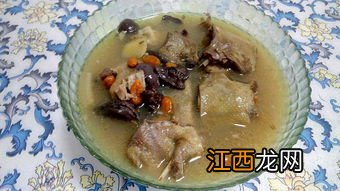 炖鸽用什么鸽子