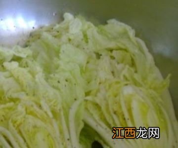 白菜怎么腌制才好吃视频