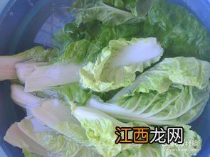 白菜煲粥有什么作用