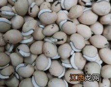 白扁豆怎么样吃最好