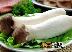 杏鲍菇和鸡蛋间隔多久