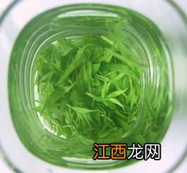 假苦丁茶怎么回事