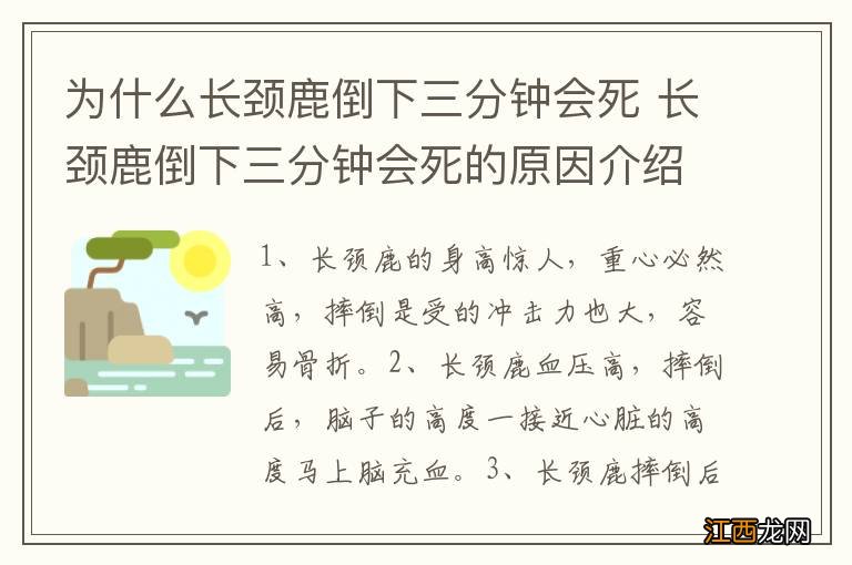 为什么长颈鹿倒下三分钟会死 长颈鹿倒下三分钟会死的原因介绍