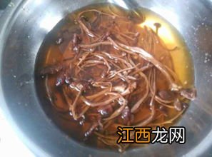 茶树菇蒸鸡多久可以吃吗
