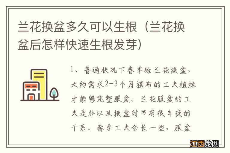 兰花换盆后怎样快速生根发芽 兰花换盆多久可以生根