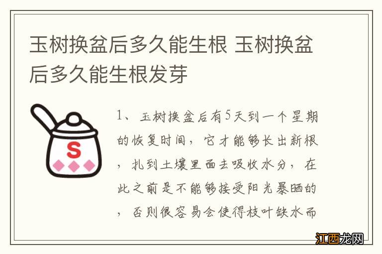 玉树换盆后多久能生根 玉树换盆后多久能生根发芽