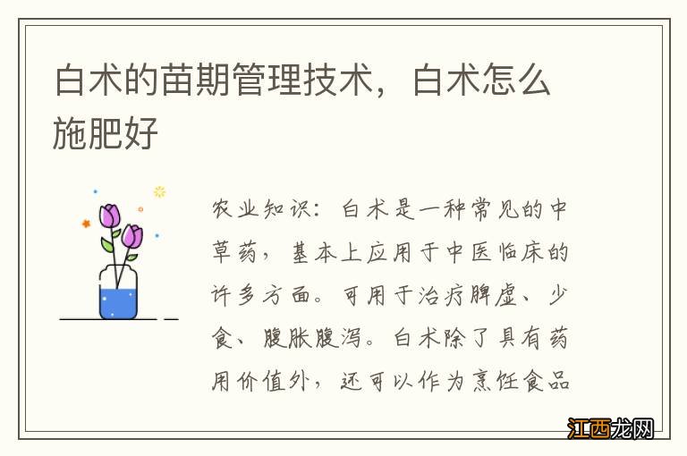 白术的苗期管理技术，白术怎么施肥好