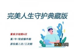 完美人生守护典藏版是哪家保险公司的？