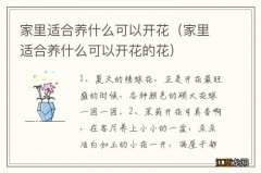 家里适合养什么可以开花的花 家里适合养什么可以开花