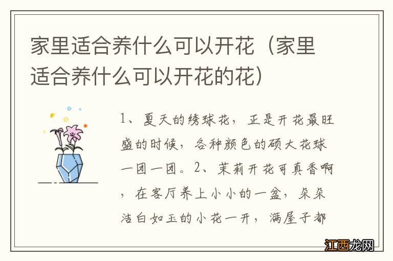 家里适合养什么可以开花的花 家里适合养什么可以开花