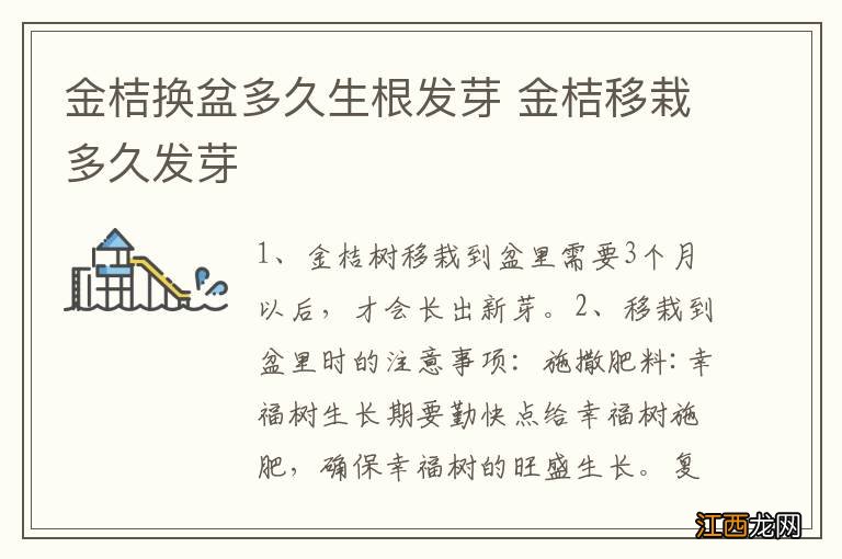 金桔换盆多久生根发芽 金桔移栽多久发芽