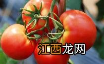 盘点生活中养颜食物大汇总