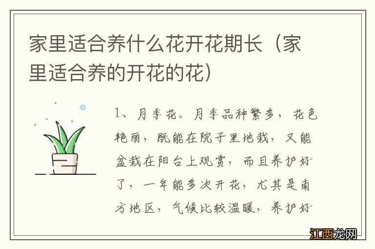 家里适合养的开花的花 家里适合养什么花开花期长