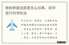 桃树表面流胶是怎么回事，如何进行科学防治