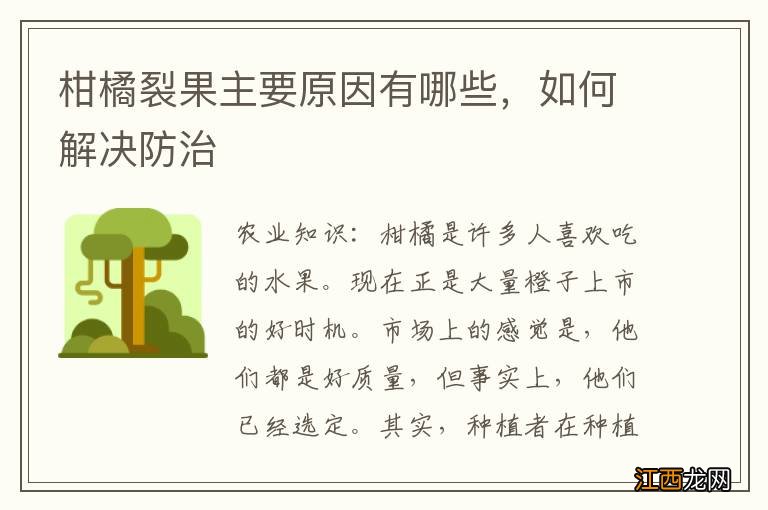 柑橘裂果主要原因有哪些,如何解决防治