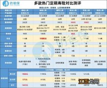 横琴麦满分2020是什么保险？