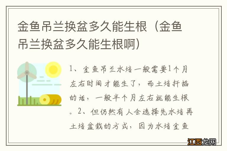 金鱼吊兰换盆多久能生根啊 金鱼吊兰换盆多久能生根