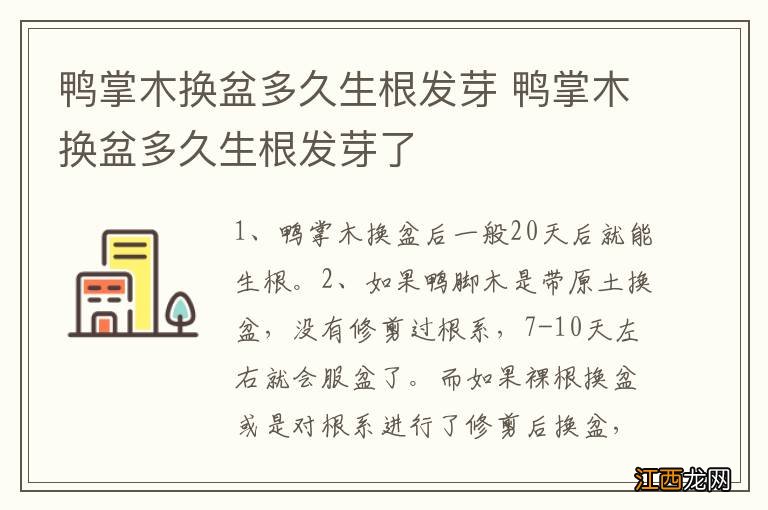 鸭掌木换盆多久生根发芽 鸭掌木换盆多久生根发芽了