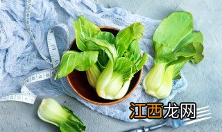 水培白菜要多久生根一次 水培白菜要多久生根