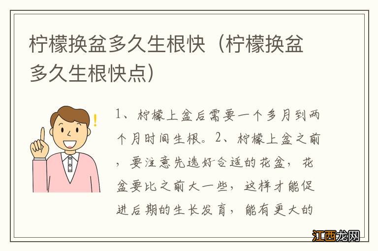 柠檬换盆多久生根快点 柠檬换盆多久生根快