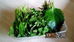 干芝麻叶用凉水需要多久