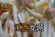 花生苗炒几分钟熟 花生苗要焯水吗