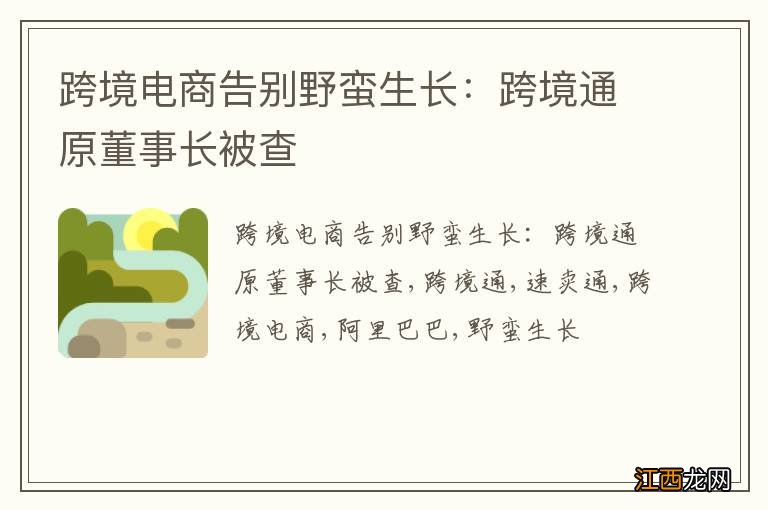 跨境电商告别野蛮生长：跨境通原董事长被查