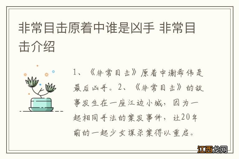 非常目击原着中谁是凶手 非常目击介绍