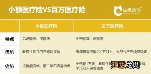 平安有小额医疗险吗?