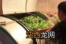 茶发酵程度怎么控制