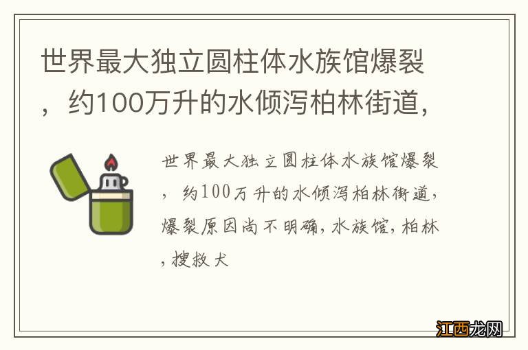 世界最大独立圆柱体水族馆爆裂，约100万升的水倾泻柏林街道，爆裂原因尚不明确