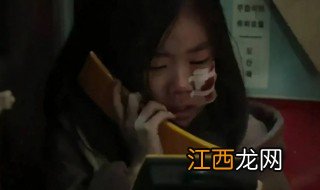 隐秘的访问者女主是谁 秘密访客女主是谁