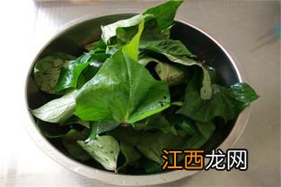 蒸红薯叶叫什么菜