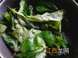 蒸红薯叶叫什么菜