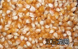 玉米与什么相宜 相克