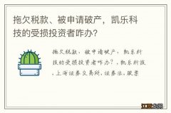 拖欠税款、被申请破产，凯乐科技的受损投资者咋办？