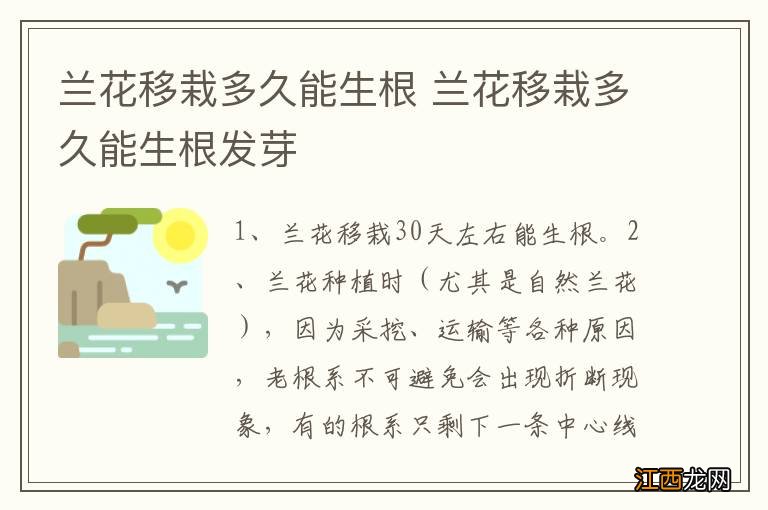 兰花移栽多久能生根 兰花移栽多久能生根发芽