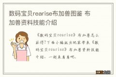 数码宝贝rearise布加兽图鉴 布加兽资料技能介绍