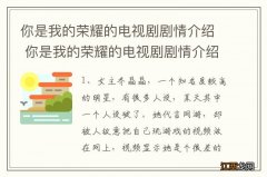 你是我的荣耀的电视剧剧情介绍 你是我的荣耀的电视剧剧情介绍简述