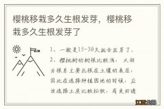 樱桃移栽多久生根发芽，樱桃移栽多久生根发芽了