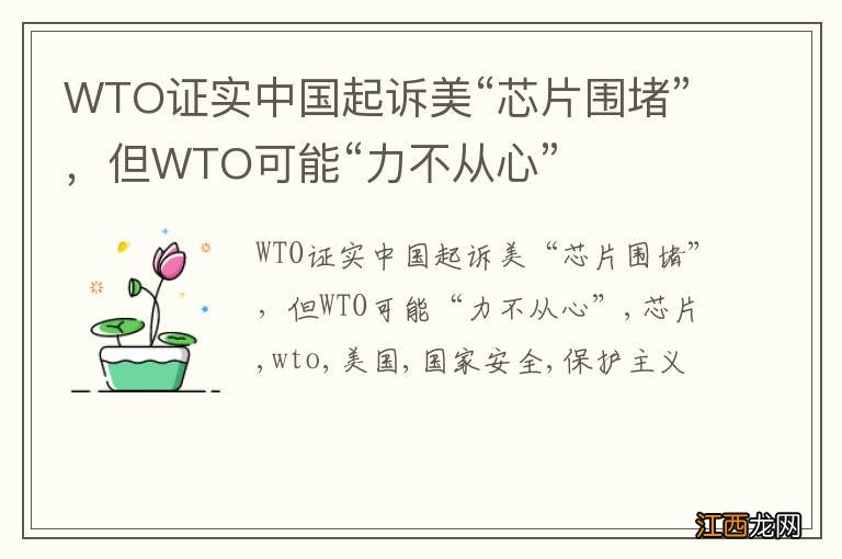 WTO证实中国起诉美“芯片围堵”，但WTO可能“力不从心”