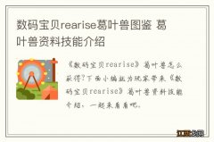 数码宝贝rearise葛叶兽图鉴 葛叶兽资料技能介绍