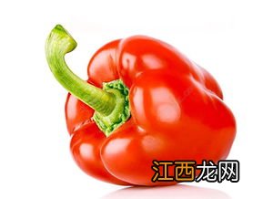 灯笼椒泡多久可以吃6